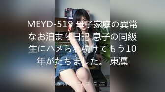 MEYD-519 母子家庭の異常なお泊まり日記 息子の同級生にハメられ続けてもう10年がたちました。 東凜