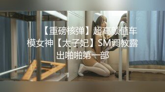 ❤️【重磅核弹】超高颜值车模女神【太子妃】SM调教露出啪啪第一部