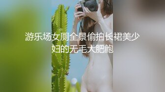 游乐场女厕全景偷拍长裙美少妇的无毛大肥鲍