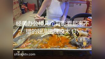 经典办公楼几个背影看起来不错的妞,B肥屁股大 (3)