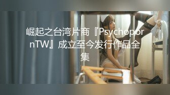 崛起之台湾片商『PsychopornTW』成立至今发行作品全集