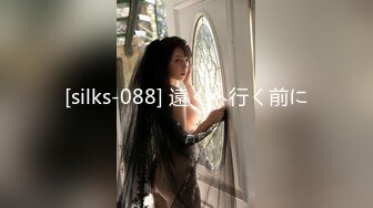 [silks-088] 遠くへ行く前に