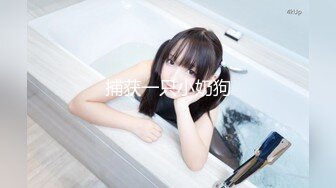 MDX-0161商務女大使的魅惑-趙一曼