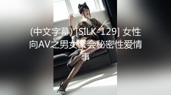 (中文字幕) [SILK-129] 女性向AV之男女聚会秘密性爱情事