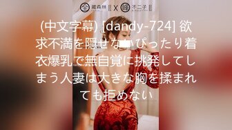 (中文字幕) [dandy-724] 欲求不満を隠せないぴったり着衣爆乳で無自覚に挑発してしまう人妻は大きな胸を揉まれても拒めない