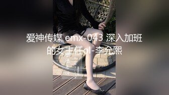 爱神传媒 emx-043 深入加班的女主任ol-李允熙