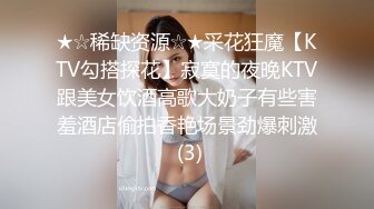 ★☆稀缺资源☆★采花狂魔【KTV勾搭探花】寂寞的夜晚KTV跟美女饮酒高歌大奶子有些害羞酒店偷拍香艳场景劲爆刺激 (3)