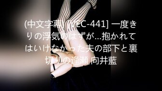 (中文字幕) [VEC-441] 一度きりの浮気のはずが…抱かれてはいけなかった夫の部下と裏切りの逢瀬 向井藍