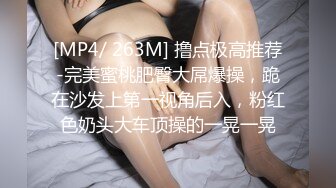 [MP4/ 263M] 撸点极高推荐-完美蜜桃肥臀大屌爆操，跪在沙发上第一视角后入，粉红色奶头大车顶操的一晃一晃