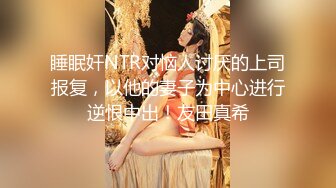 睡眠奸NTR对恼人讨厌的上司报复，以他的妻子为中心进行逆恨中出！友田真希