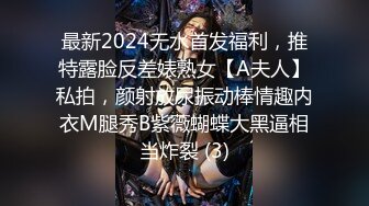 最新2024无水首发福利，推特露脸反差婊熟女【A夫人】私拍，颜射放尿振动棒情趣内衣M腿秀B紫薇蝴蝶大黑逼相当炸裂 (3)