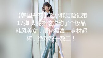 【韩国探花】之小胖历险记第17弹 大肥猪这次约了个极品韩风美女，颜值极高，身材超棒，绝对数一数二！