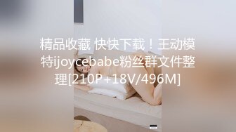 精品收藏 快快下载！王动模特ijoycebabe粉丝群文件整理[210P+18V/496M]