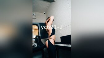 yc691-2