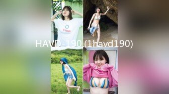 HAVD-190.(1havd190)