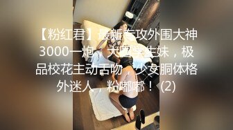 【粉红君】最新专攻外围大神3000一炮，大圈学生妹，极品校花主动舌吻，少女胴体格外迷人，粉嘟嘟！ (2)